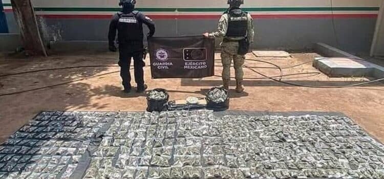 Más de 470 kg de droga, asegurada en mayo en Michoacán