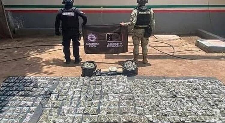 Más de 470 kg de droga, asegurada en mayo en Michoacán