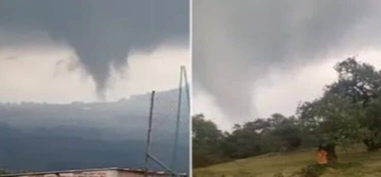 Se forma un tornado en Michoacán; tira árboles y vuela techumbres Se forma un tornado en Michoacán; tira árboles y vuela techumbres