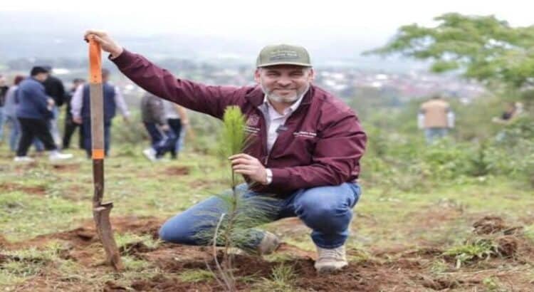 Con producción histórica de planta, Michoacán reforestará 10 millones de árboles