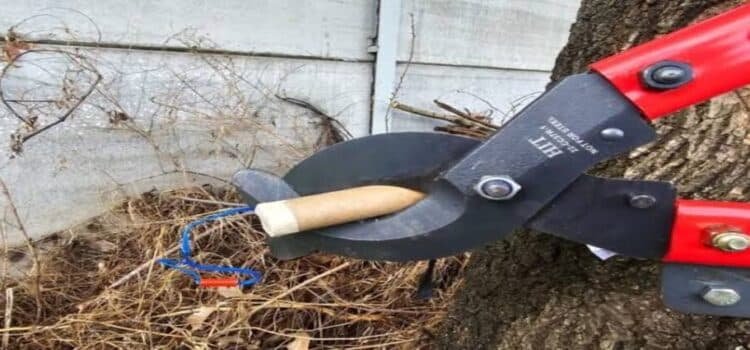 Michoacán desactivan 17 artefactos de pirotecnia en Uruapan