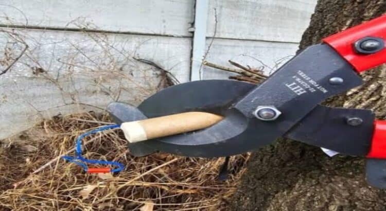 Michoacán desactivan 17 artefactos de pirotecnia en Uruapan
