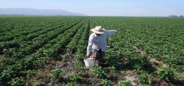 México confirma muerte de migrante de Michoacán de redada en California México confirma muerte de migrante de Michoacán de redada en California
