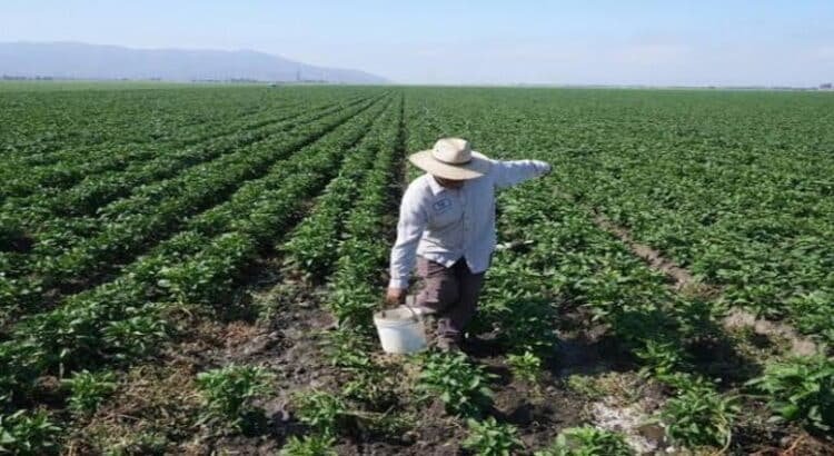 México confirma muerte de migrante de Michoacán de redada en California