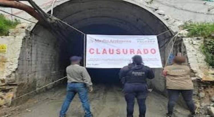 Profepa clausura mina Santa Clara en Michoacán por irregularidades ambientales