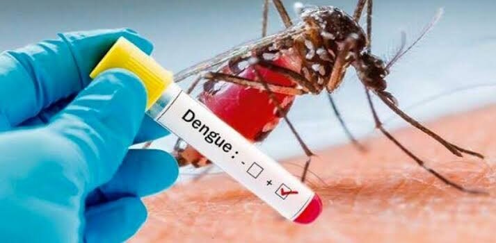 Reportan 50 casos de dengue en Morelia este 2025