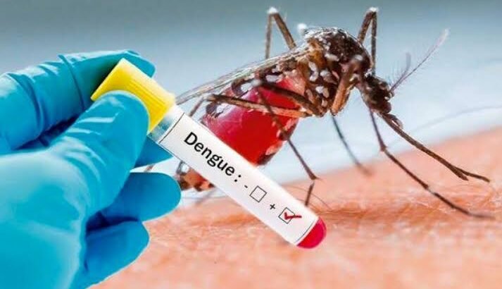 Reportan 50 casos de dengue en Morelia este 2025