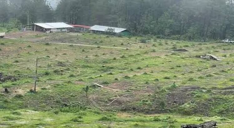 Michoacán, primer estado en aplicar reparación del daño por cambio de uso de suelo