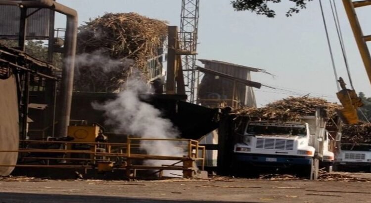 Más de 3 mil cañeros en Michoacán exigen pensión digna