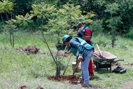 Deberá donar agroparque logístico de Morelia 450 árboles; prometen empleos