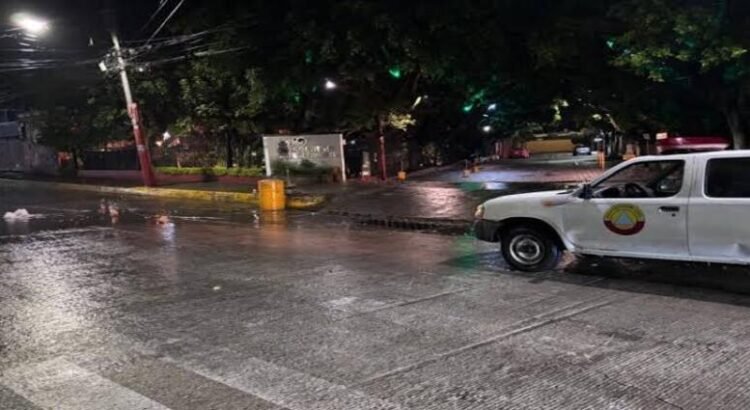 Desmiembran a hombre en Tarímbaro; dejan sus partes en diversos puntos Desmiembran a hombre en Tarímbaro; dejan sus partes en diversos puntos