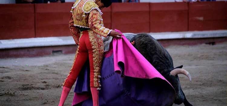 Habrá corrida de toros el 30 de septiembre en Morelia Habrá corrida de toros el 30 de septiembre en Morelia