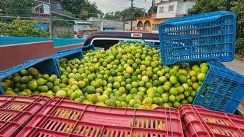 Detienen a 2 extorsionadores de limoneros