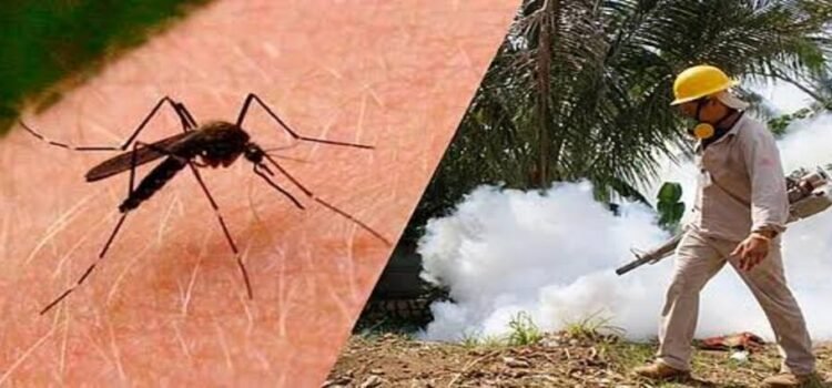 Michoacán registra 4 muertes por dengue