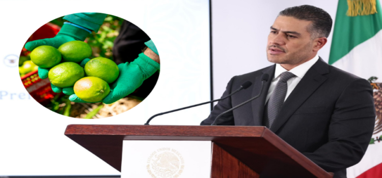 Harfuch anuncia refuerzo de seguridad para limoneros en Michoacán