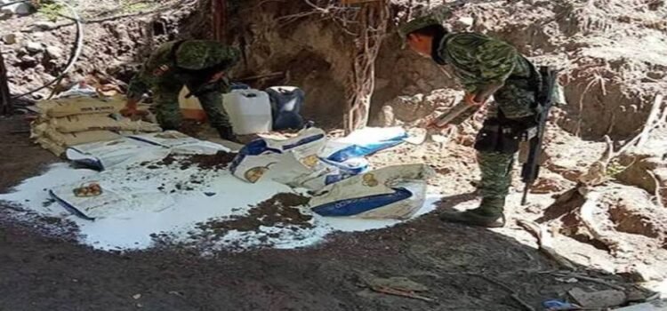 Defensa inhabilita campamentos ilegales y asegura armas en Michoacán