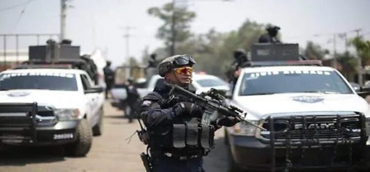 Fuerzas de seguridad mexicanas detienen a siete personas en el estado de Michoacán