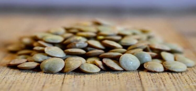 Comprarán lenteja a productores dentro del Plan Michoacán para 2026