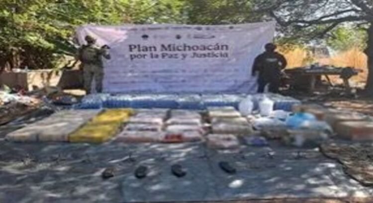 Detienen a 16 personas durante recorridos del Plan Michoacán