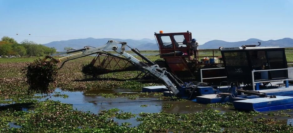 Michoacán rehabilitará 60 hectáreas del lago de Cuitzeo