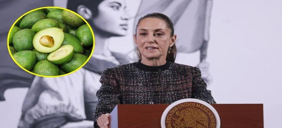 Sheinbaum garantiza seguridad permanente a productores de aguacate en Michoacán